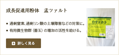 成長促進用粉体 孟ツァルト